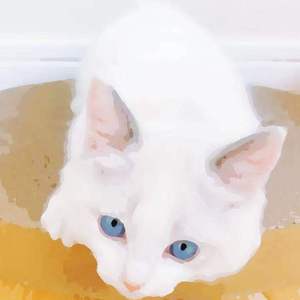 五月天丁香激情
